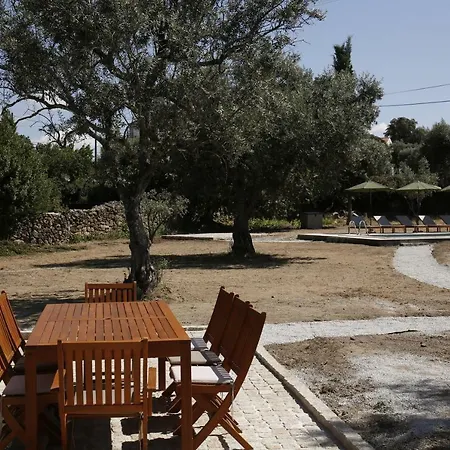 Casa Estrela * Juncais